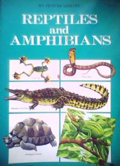 [ ]: Reptiles and Amphibians