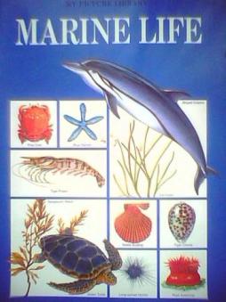 [ ]: Marine Life