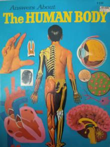 Smithline, Frederic: The human body