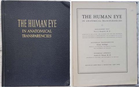 Kronfeld, Peter; Gladys, Mchugb; Polyak, Stepben: The Human Eye in Anatomical Transparencies