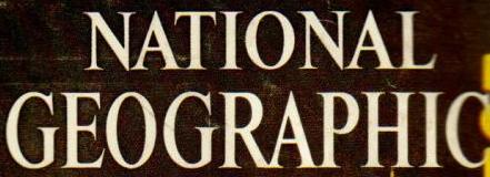  "National Geographic USA"