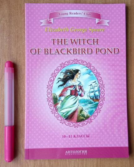 Speare, E.G.: The Witch of Blackbird pond