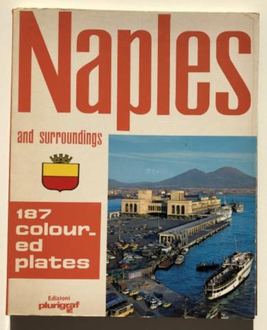 , : Naples and surroundings (  )