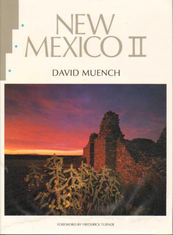 Muench, David: New Mexico II