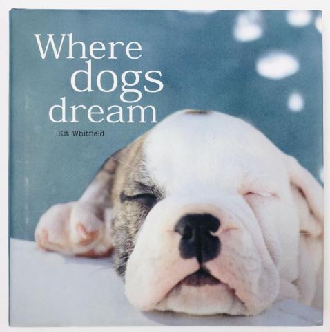 , .: Where Dogs Dream (  )
